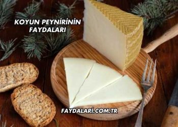 Koyun Peynirinin Faydaları