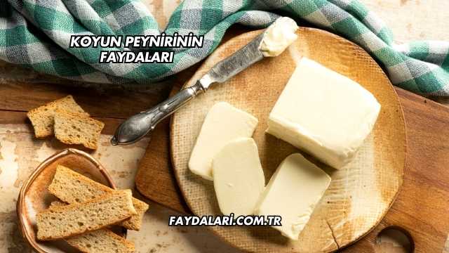 Koyun Peynirinin Faydaları