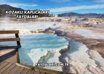 Kozaklı Kaplıcaları Faydaları