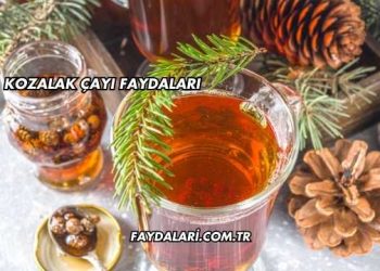 Kozalak Çayı Faydaları