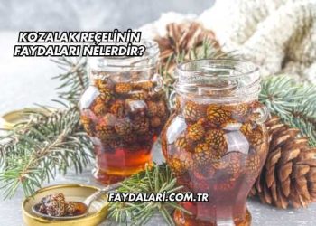 Kozalak Reçelinin Faydaları Nelerdir?