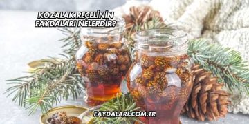 Kozalak Reçelinin Faydaları Nelerdir?