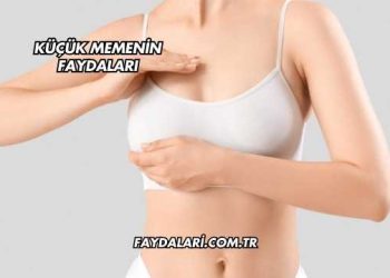 Küçük Memenin Faydaları