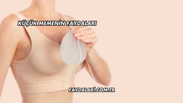 Küçük Memenin Faydaları