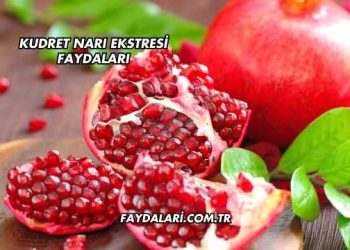 Kudret Narı Ekstresi Faydaları
