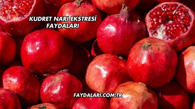 Kudret Narı Ekstresi Faydaları