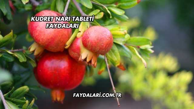 Kudret Narı Tableti Faydaları
