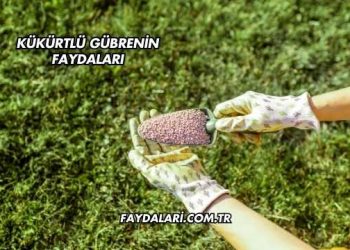 Kükürtlü Gübrenin Faydaları