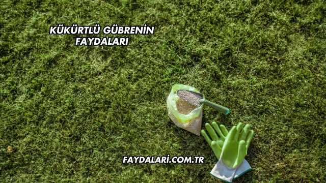 Kükürtlü Gübrenin Faydaları