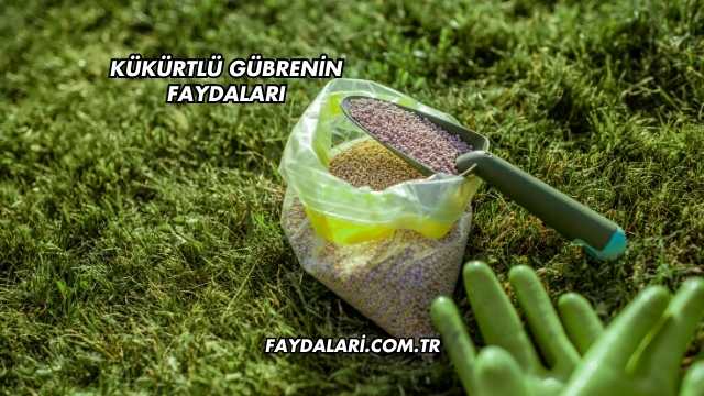 Kükürtlü Gübrenin Faydaları