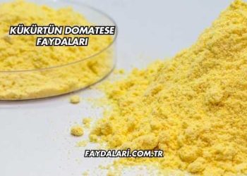 Kükürtün Domatese Faydaları