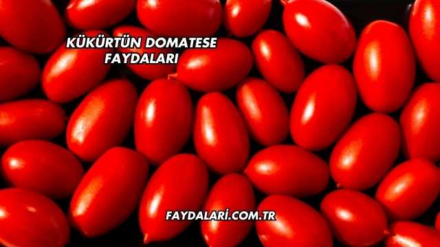 Kükürtün Domatese Faydaları