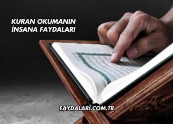 Kuran Okumanın İnsana Faydaları