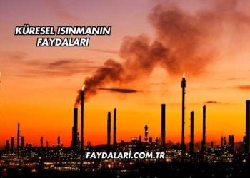 Küresel Isınmanın Faydaları