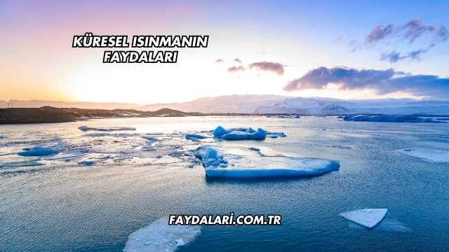 Küresel Isınmanın Faydaları