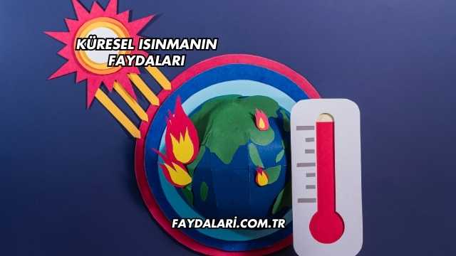 Küresel Isınmanın Faydaları