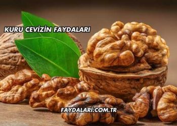 Kuru Cevizin Faydaları