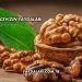 Kuru Cevizin Faydaları
