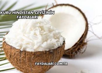 Kuru Hindistan Cevizinin Faydaları