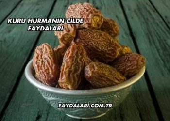 Kuru Hurmanın Cilde Faydaları