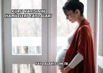 Kuru Kayısının Hamilelere Faydaları