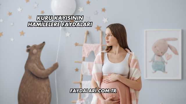 Kuru Kayısının Hamilelere Faydaları