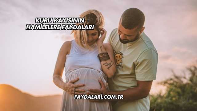 Kuru Kayısının Hamilelere Faydaları