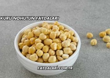 Kuru Nohutun Faydaları