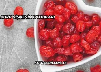 Kuru Vişnenin Faydaları