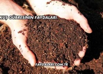 Kuş Gübresinin Faydaları