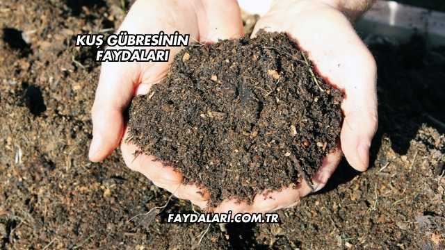 Kuş Gübresinin Faydaları