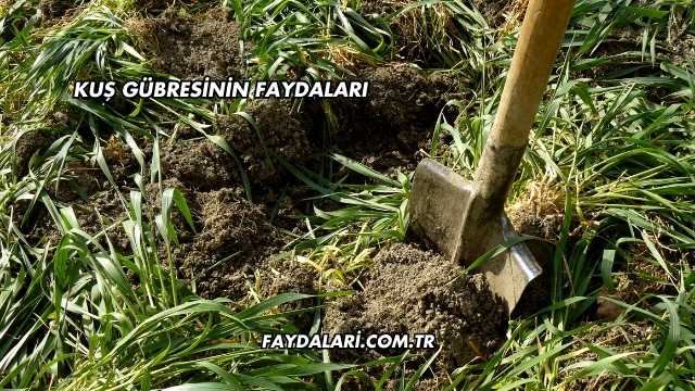Kuş Gübresinin Faydaları