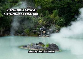Kuzuluk Kaplıca Suyunun Faydaları