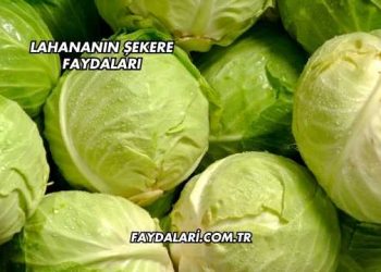 Lahananın Şekere Faydaları