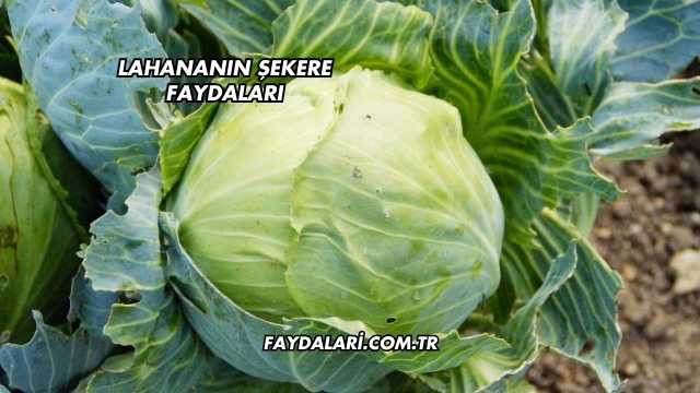 Lahananın Şekere Faydaları
