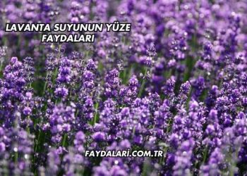 Lavanta Suyunun Yüze Faydaları