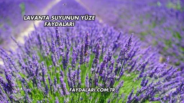 Lavanta Suyunun Yüze Faydaları