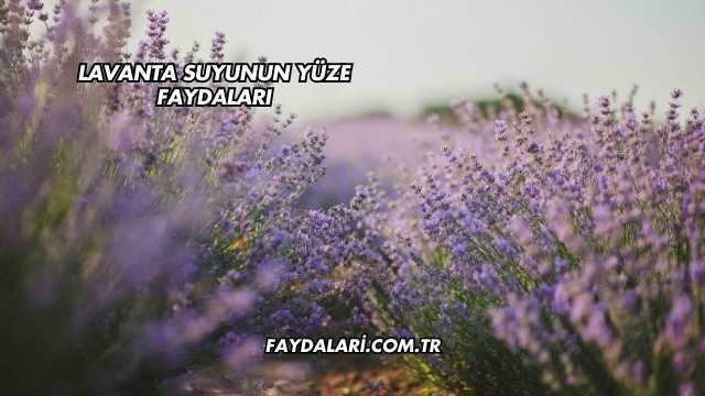 Lavanta Suyunun Yüze Faydaları