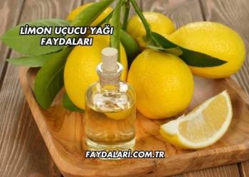 Limon Uçucu Yağı Faydaları