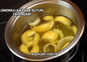 Limonlu Kaynar Suyun Faydaları