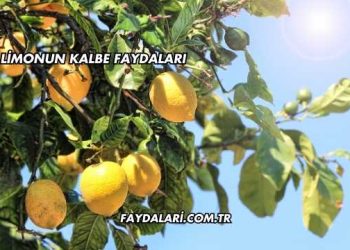 Limonun Kalbe Faydaları