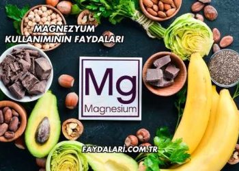Magnezyum Kullanımının Faydaları