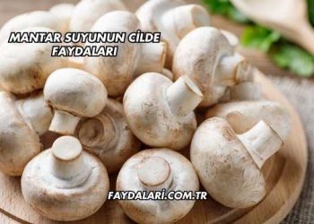 Mantar Suyunun Cilde Faydaları