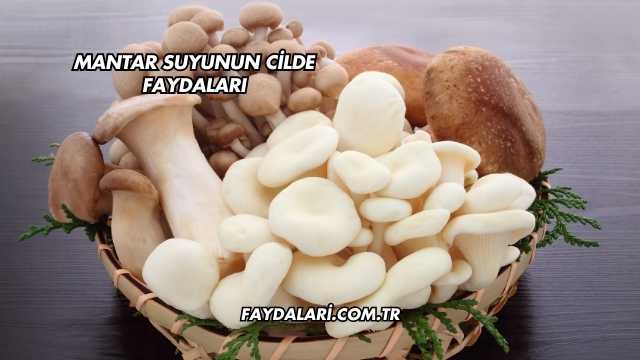 Mantar Suyunun Cilde Faydaları