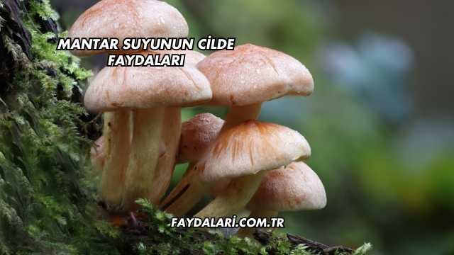 Mantar Suyunun Cilde Faydaları