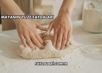 Mayanın Yüze Faydaları