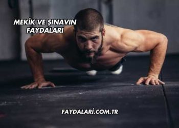 Mekik ve Şınavın Faydaları