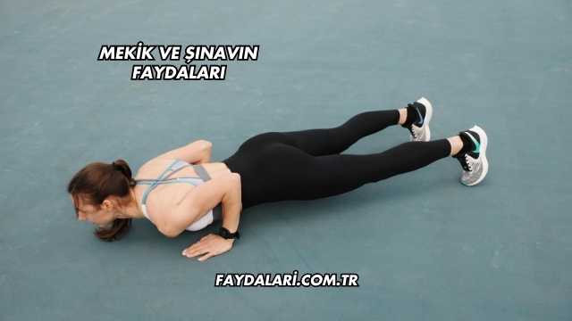 Mekik ve Şınavın Faydaları