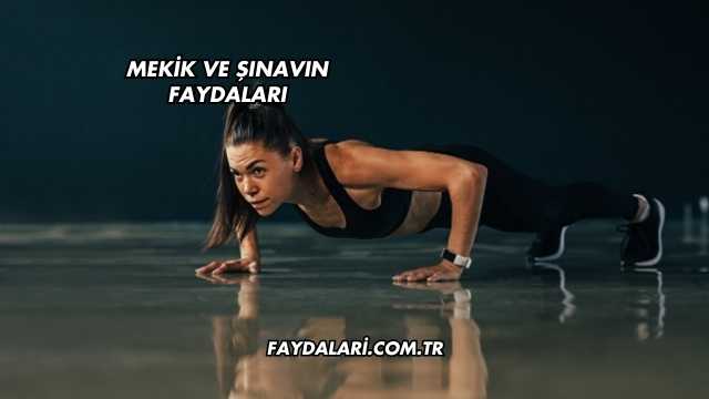 Mekik ve Şınavın Faydaları