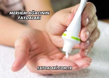 Merhem Ağacının Faydaları